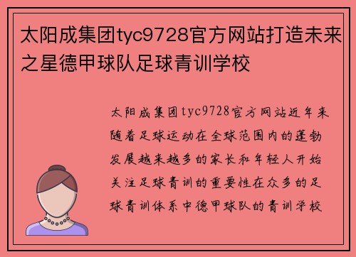 太阳成集团tyc9728官方网站打造未来之星德甲球队足球青训学校